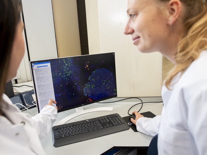 We willen deze immuunboost direct na de chemotherapie toe kunnen dienen